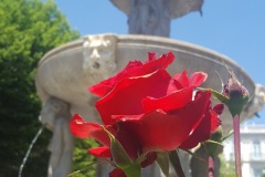 20160516_132151