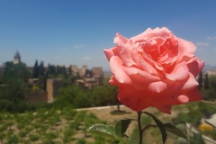 20160530_131640